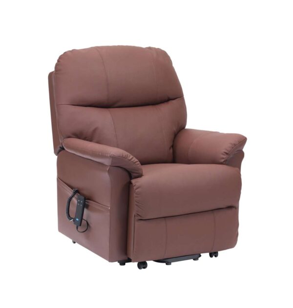 Drive Lars Leather Dual Motor Riser Recliner