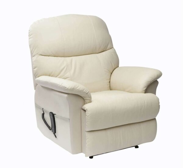 Drive Lars Leather Dual Motor Riser Recliner