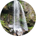 Vicki Smith profile picture